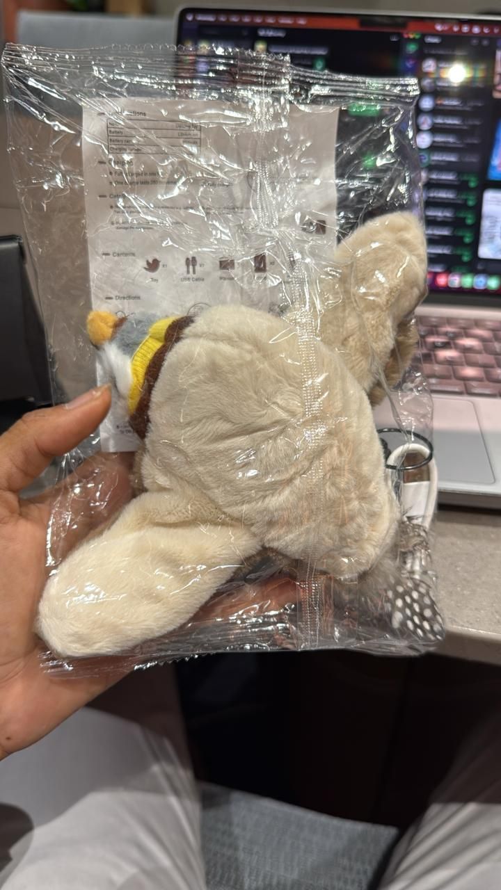 Flapping Cat Toy - INSTATAKE